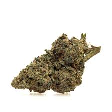 kaligram thx cbd