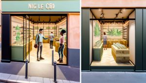Boutique CBD Nice: découvrez les meilleures options