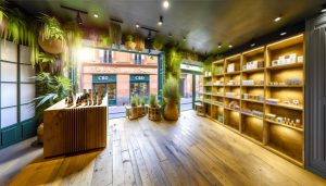 Découvrez la meilleure boutique CBD à Toulouse