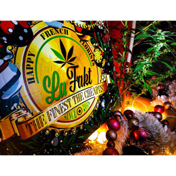 découvrez notre calendrier de l'avent cbd : chaque jour une surprise bien-être à base de cbd pour patienter jusqu’à noël en douceur. idéal pour offrir ou se faire plaisir !