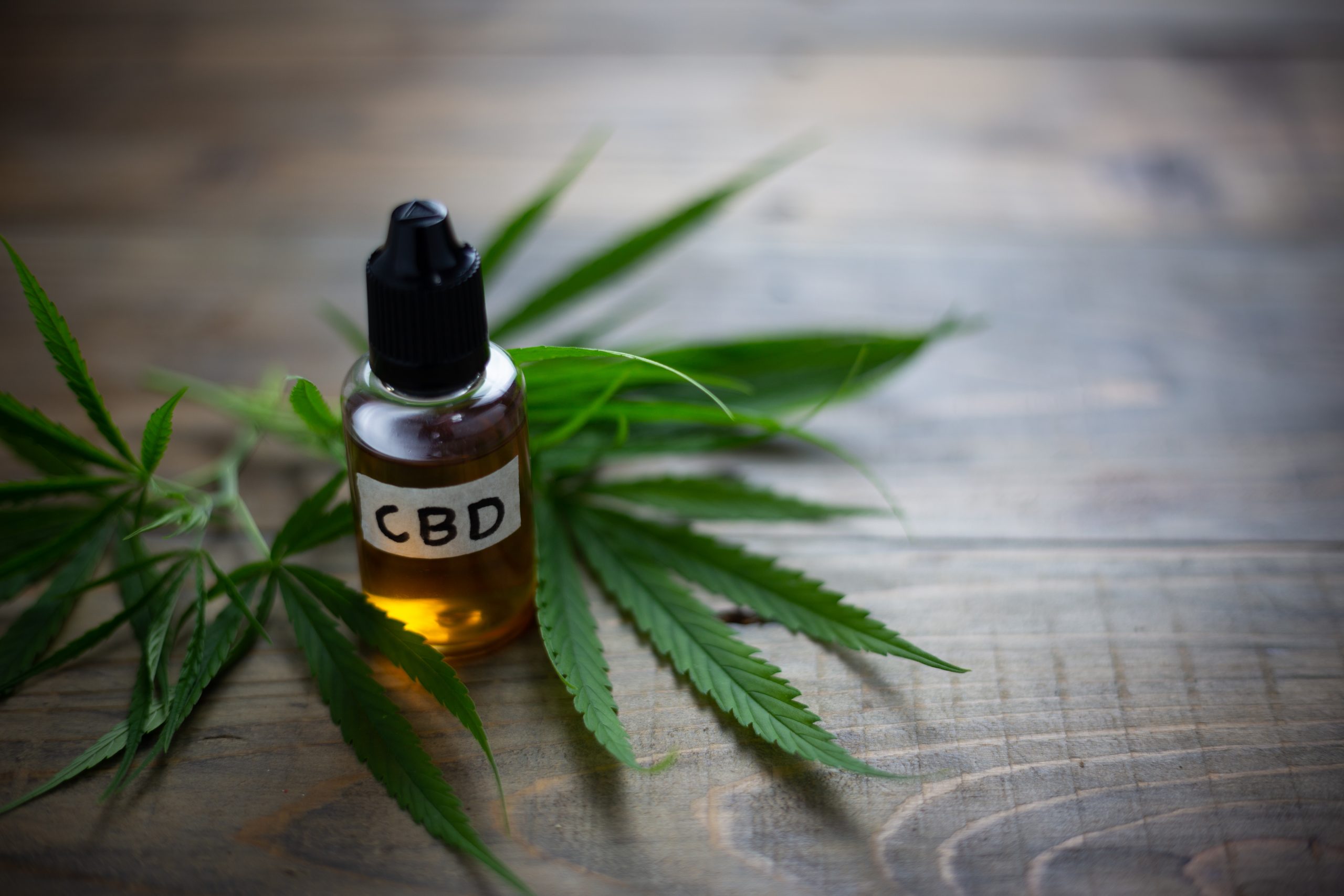 découvrez le cannabidiol (cbd) : ses origines, ses bienfaits potentiels, son mode d’utilisation et la réglementation en france. informez-vous sur ce composé naturel issu du chanvre, reconnu pour ses effets relaxants.