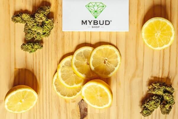 découvrez comment utiliser le cbd en cuisine : conseils pratiques, recettes gourmandes et bienfaits pour intégrer facilement le cannabidiol dans vos plats du quotidien.