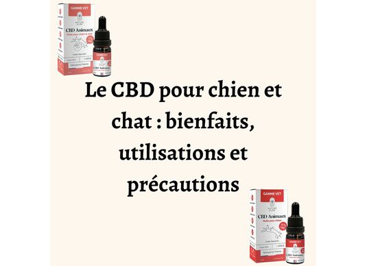 découvrez les précautions à prendre avant d'utiliser le cbd : conseils, informations sur les effets secondaires et recommandations pour une utilisation sûre du cannabidiol.