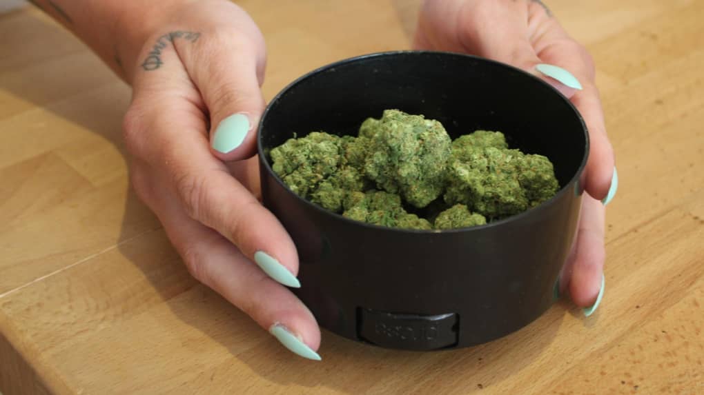 découvrez les conséquences juridiques pour un gérant de boutique cbd condamné : sanctions, motifs de la condamnation et impact sur son activité en france.