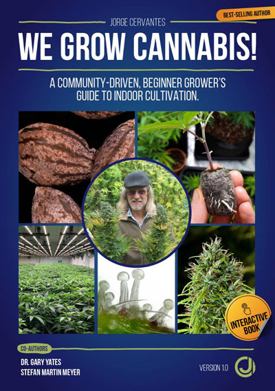 découvrez notre guide complet pour débutants sur les graines de cannabis : conseils pratiques, choix des meilleures variétés et astuces pour réussir votre première culture facilement.