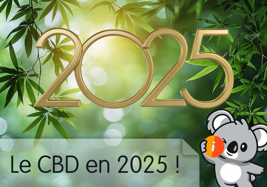 découvrez notre guide 2025 des meilleurs cbd : avis, comparatifs et conseils pour choisir les produits cbd les plus efficaces et de qualité supérieure. trouvez le cbd qui vous convient !