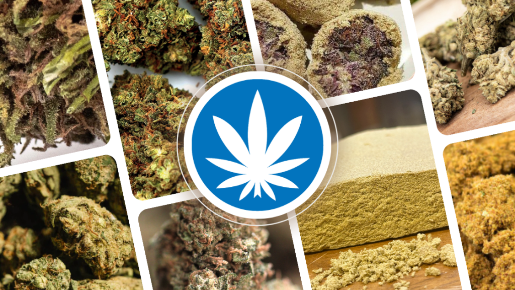 découvrez notre sélection des meilleurs cbd en 2025 : avis, comparatif, conseils et guide d'achat pour choisir un produit de qualité adapté à vos besoins.