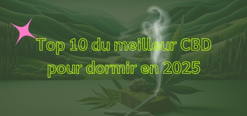découvrez notre sélection du meilleur cbd en 2025 : conseils, comparatifs et avis pour choisir le produit le plus adapté à vos besoins et profiter des bienfaits du cannabidiol.