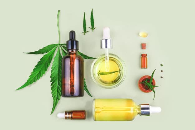 découvrez le meilleur cbd pour chat en 2025 : guide d’achat, conseils d’utilisation et sélection des produits les plus efficaces pour le bien-être et la santé de votre compagnon félin.