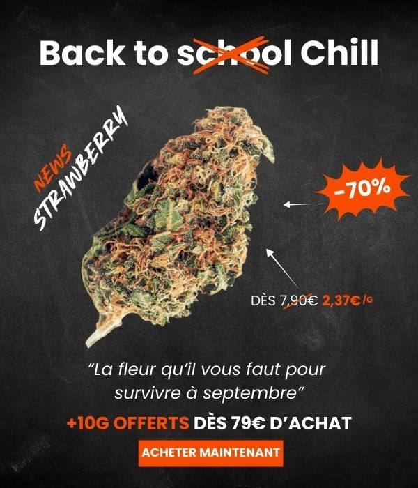 découvrez notre sélection des meilleurs sites cbd en 2025 : qualité, fiabilité et avis pour trouver le produit adapté à vos besoins. comparez les boutiques en ligne et choisissez le meilleur cbd !