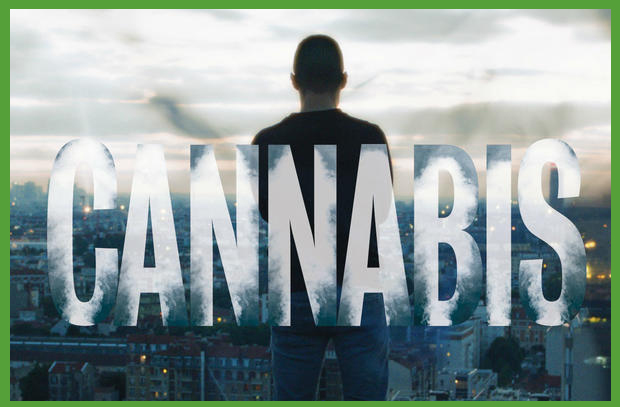 découvrez les meilleures séries sur le cannabis : intrigues captivantes, humour décalé et perspectives inédites sur la culture et l'industrie du cannabis. notre sélection vous plonge dans un univers riche et surprenant, à voir absolument !