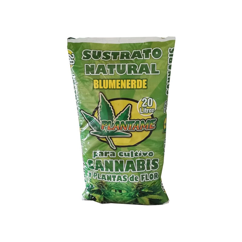 découvrez comment choisir le meilleur terreau pour cultiver du cannabis, garantir une croissance saine et optimiser vos récoltes. conseils, astuces et guide d’achat.