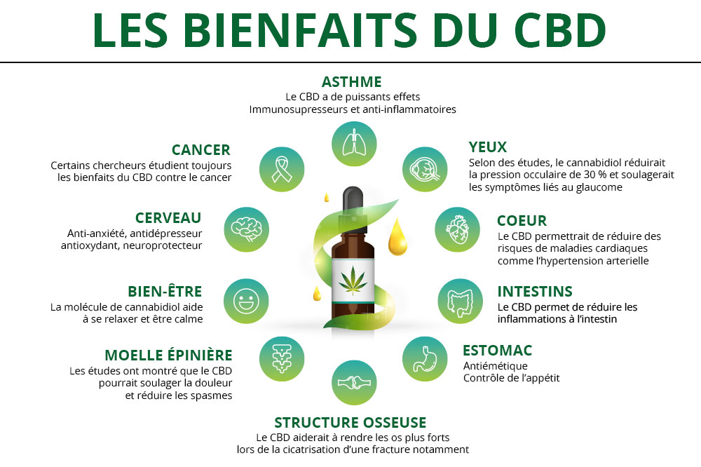 découvrez les différents usages du cbd, ses bienfaits potentiels ainsi que les risques associés à son utilisation. informez-vous avant de consommer le cannabidiol.