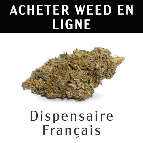 découvrez comment acheter du cannabis en ligne facilement et en toute sécurité. conseils, meilleures boutiques et informations pour un achat légal et sécurisé de cannabis sur internet.