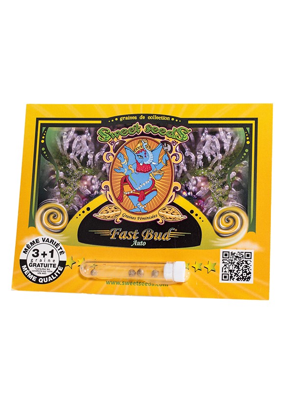 achetez des graines de cannabis en ligne facilement et en toute sécurité. découvrez notre large sélection de variétés de graines de haute qualité, livraison discrète et conseils pour cultivateurs.