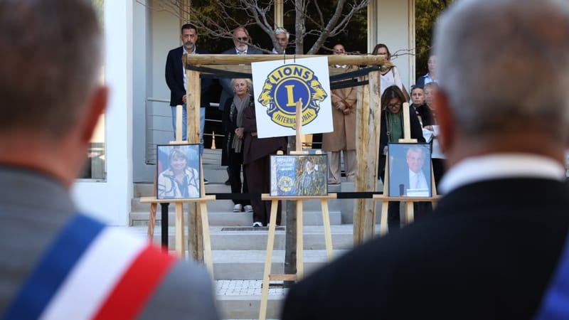 découvrez tout sur les bad trips liés au cbd à marseille : causes, prévention et conseils pour une consommation sereine. informez-vous avant d’acheter du cbd dans la région marseillaise.