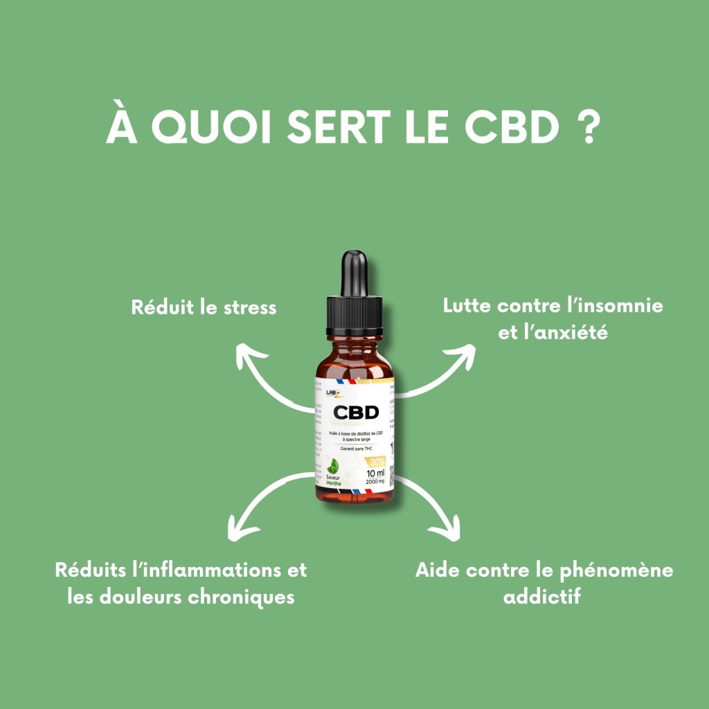 découvrez les principaux bienfaits du cbd : détente, gestion du stress, amélioration du sommeil et soutien du bien-être général. informations, conseils et explications sur les effets du cannabidiol.