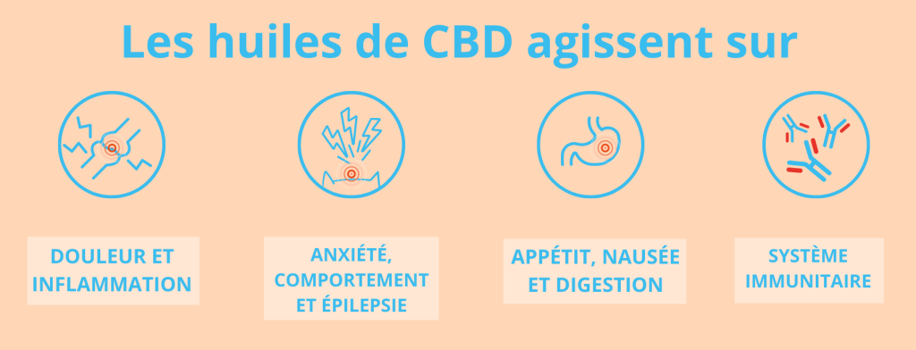 découvrez les nombreux bienfaits du cbd : réduction du stress, amélioration du sommeil, soulagement naturel de la douleur et soutien au bien-être général. informez-vous sur ses vertus et son utilisation au quotidien.