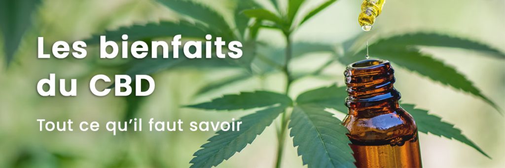 découvrez les bienfaits de l'huile de cbd : relaxation, gestion du stress, amélioration du sommeil et soulagement des douleurs. adoptez une solution naturelle pour votre bien-être au quotidien.