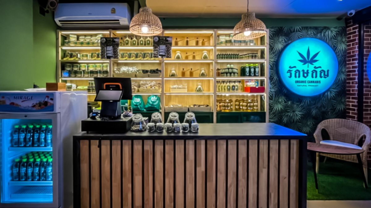 découvrez le café cannabis, une boisson unique alliant l’arôme du café traditionnel aux bienfaits du cannabis, pour une expérience sensorielle et relaxante. informations, conseils et précautions à connaître.