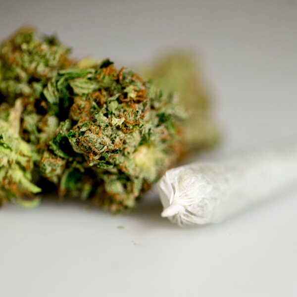 découvrez les résultats d’une étude sur les cafés cannabis : analyse de leur impact, fonctionnement et implications sociales dans les villes concernées.