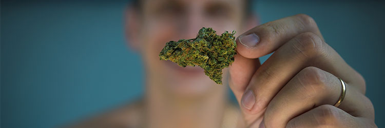 découvrez les liens entre cannabis et dépendance : effets, risques, symptômes de l’addiction et conseils pour mieux comprendre et prévenir ce problème de santé.