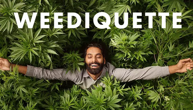 découvrez comment le cannabis et les séries télévisées se complètent pour offrir une expérience de détente unique. conseils, analyses et recommandations pour associer vos moments de relaxation à vos programmes préférés.