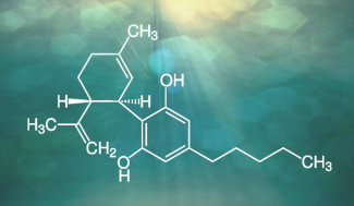 découvrez les risques liés au cbd trafiqué : effets secondaires, dangers pour la santé et conseils pour reconnaître un produit de qualité. informez-vous avant d’acheter du cbd.