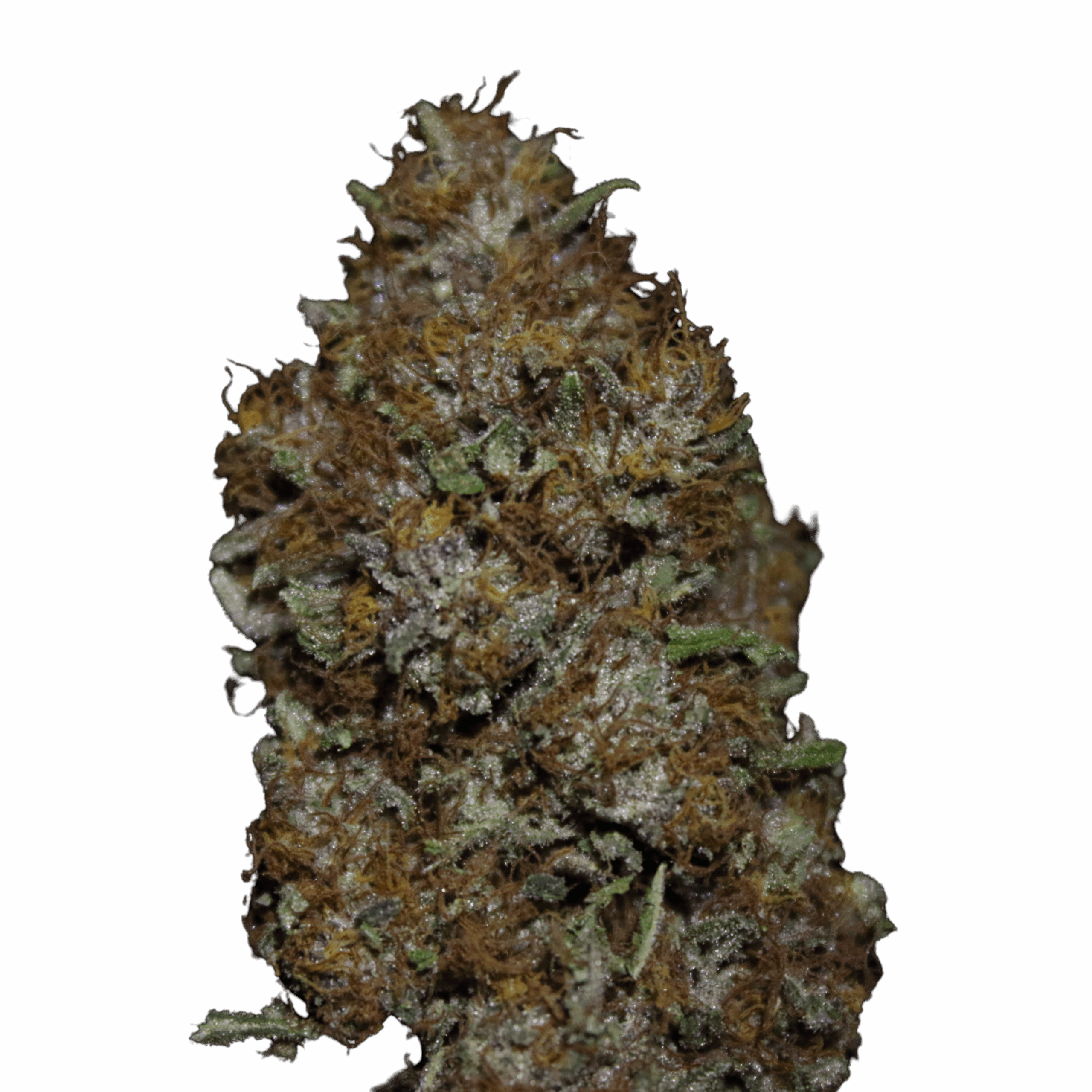 découvrez comment choisir le meilleur cbd indica en 2025 : conseils pratiques, critères de sélection et avantages pour profiter pleinement des bienfaits du cbd.