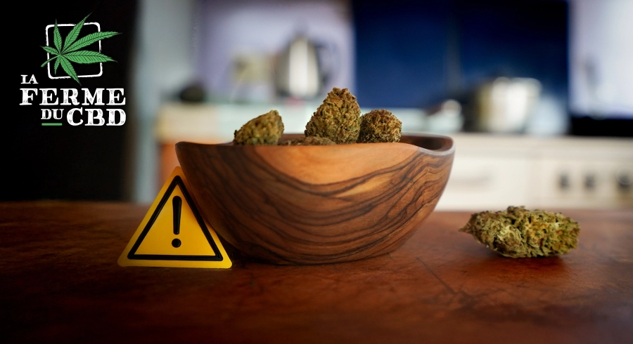 découvrez les potentiels dangers du cbd : effets secondaires, contre-indications et précautions à prendre avant l'utilisation de ce cannabinoïde réputé pour ses bienfaits.