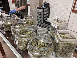 découvrez tout sur les dispensaires de cannabis : adresses, conseils, légalité et services proposés pour un accès sécurisé et informé au cannabis médical ou récréatif en france et ailleurs.