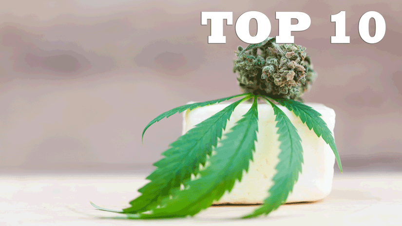 découvrez tout sur le fromage au cannabis : origines, fabrication, effets et conseils de dégustation pour une expérience gourmande et originale.