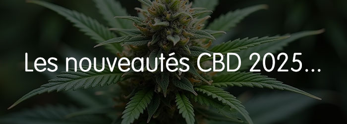 découvrez notre sélection des meilleurs cbd en 2025 : comparatif, avis, conseils et guide d’achat pour choisir le produit le plus adapté à vos besoins et profiter des bienfaits du cannabidiol en toute sécurité.
