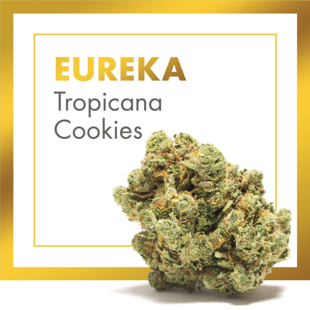 découvrez le meilleur cbd de 2025 : comparatif, avis et sélection des produits de qualité supérieure pour améliorer votre bien-être naturellement.