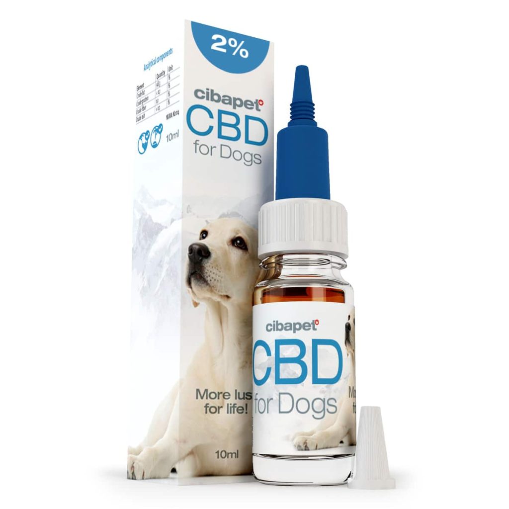 découvrez notre guide 2025 sur le meilleur cbd pour chien : avis, conseils, bienfaits et sélection des produits les plus efficaces pour le bien-être de votre animal.
