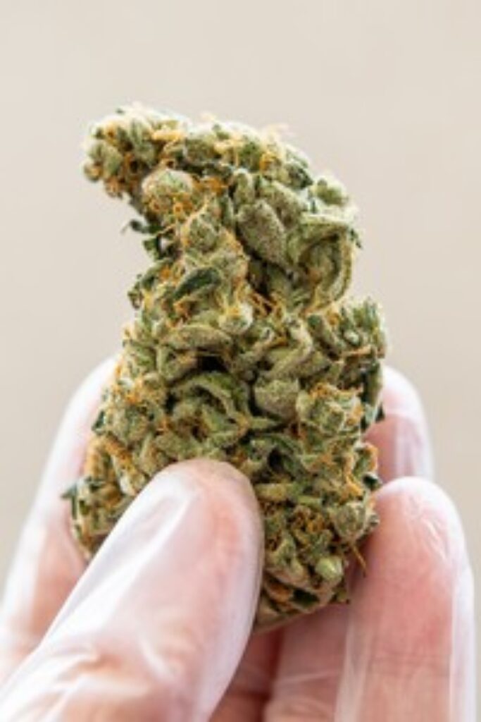 découvrez le meilleur forum cbd 2025 : conseils, avis, échanges entre passionnés et informations fiables sur le cbd. rejoignez la communauté francophone pour partager vos expériences et trouver des réponses à toutes vos questions sur le cannabidiol.