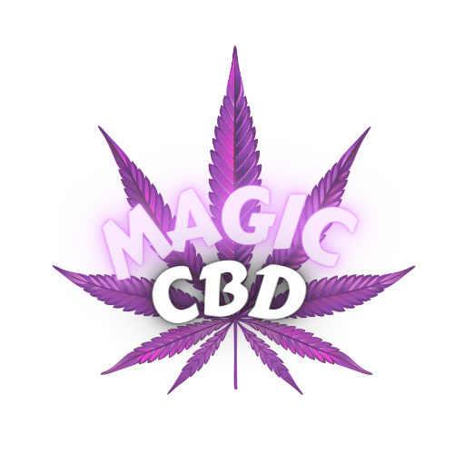 découvrez le comparatif des meilleurs sites cbd en 2025 : avis, sélection des boutiques fiables, conseils sur la qualité et les tendances du cannabidiol en france.