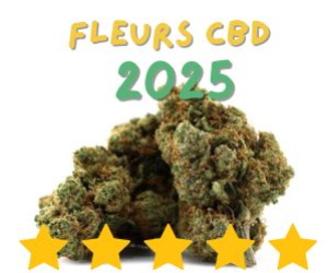 découvrez notre guide 2025 des meilleures marques de cbd : avis, comparatifs, certifications et conseils pour choisir le cbd adapté à vos besoins et garantir qualité et efficacité.