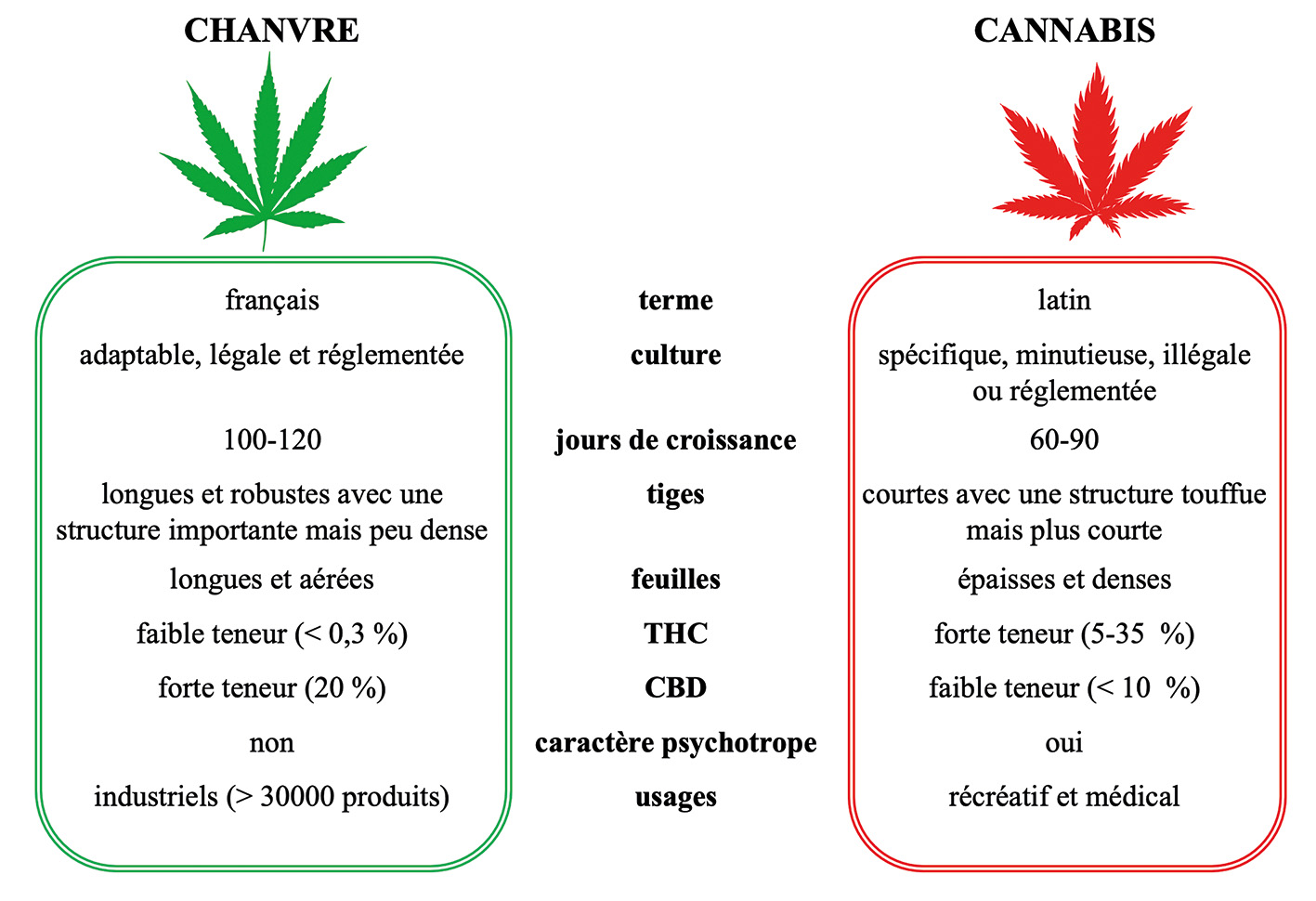 découvrez la réglementation actuelle du cannabis médical au brésil : cadre légal, conditions d’accès, prescriptions et démarches pour les patients en 2024.