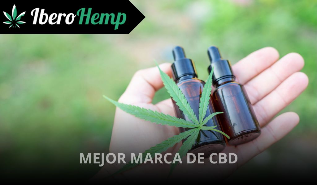 découvrez notre classement des 10 meilleurs produits cbd pour 2025. avis, comparatif, bienfaits et conseils pour choisir le cbd adapté à vos besoins.