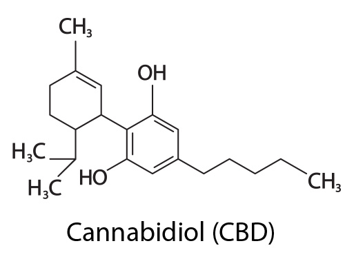 découvrez les effets potentiels du cannabidiol (cbd) sur le foie, incluant les risques de toxicité hépatique, les précautions à prendre et les dernières recherches scientifiques sur ce sujet.