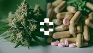 découvrez les interactions possibles entre les antibiotiques et le cannabis, ainsi que les précautions essentielles à prendre pour assurer une utilisation sécurisée et efficace.