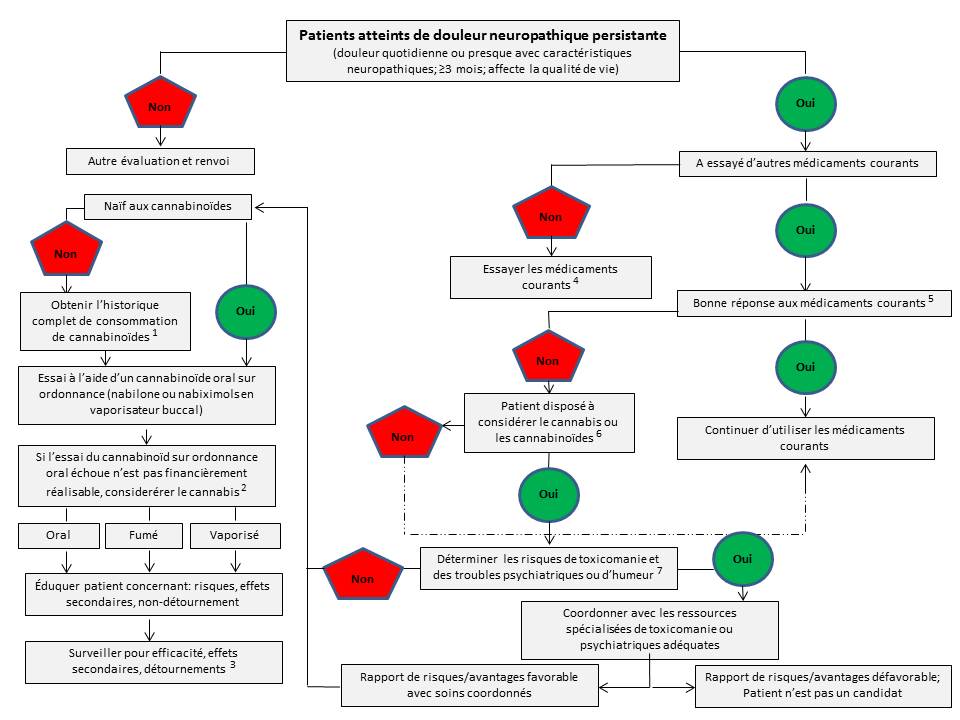 découvrez comment le cannabidiol influence positivement les actions du cannabis après l'approbation de trump, et les perspectives du marché à venir.