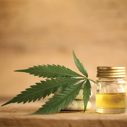 découvrez l'univers du cbd en france, alliant science et bien-être pour une meilleure qualité de vie. informations, conseils et actualités sur le cannabidiol.