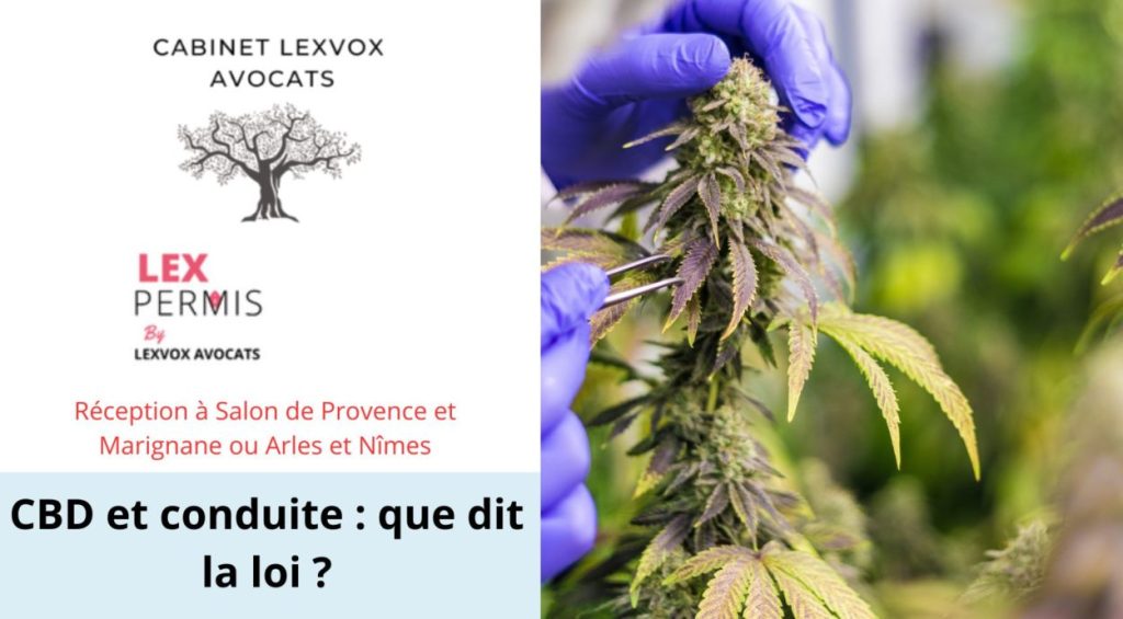 découvrez les règles sur la conduite sous cbd à bordeaux, les types de tests utilisés et la jurisprudence récente pour mieux comprendre les implications légales.