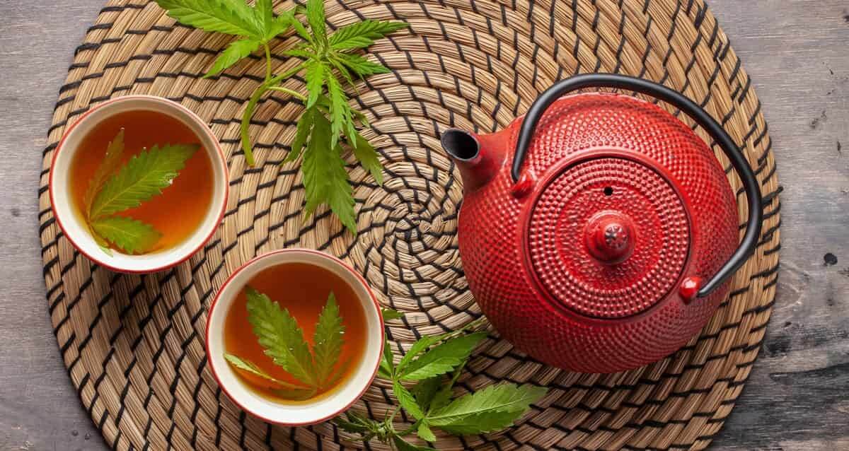 découvrez comment préparer une tisane au cannabis, ses bienfaits pour la santé et les conseils d'usage pour profiter pleinement de ses effets naturels.