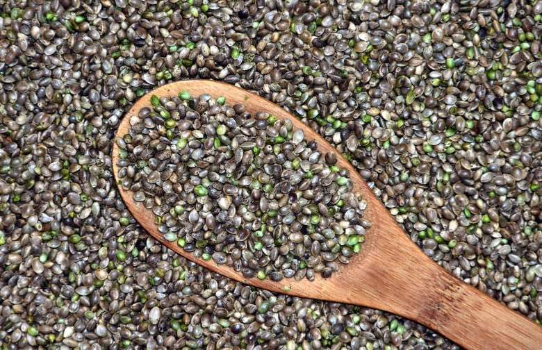 découvrez les meilleurs sites de vente de graines de cannabis : large choix de variétés, livraison discrète et conseils pour réussir votre culture en toute légalité.