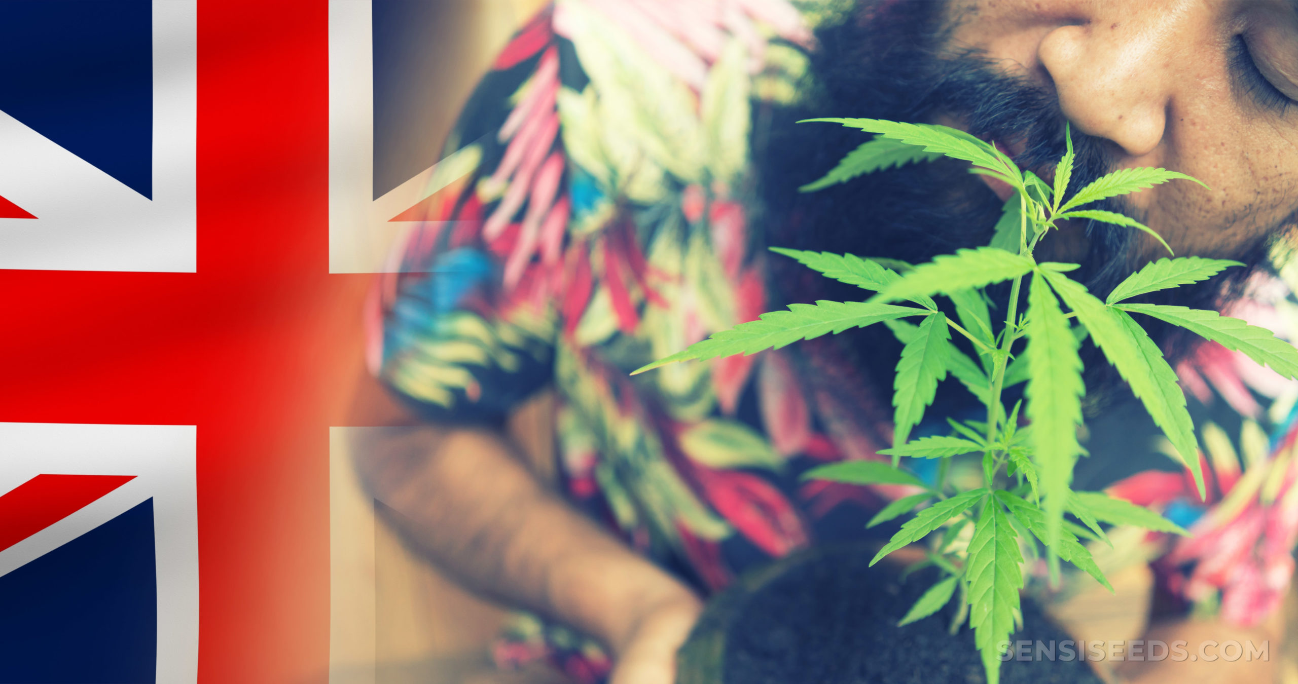 découvrez tout sur le cannabis tbc : son usage, ses effets sur le corps et l'esprit, ainsi que la législation en vigueur pour une information complète et responsable.