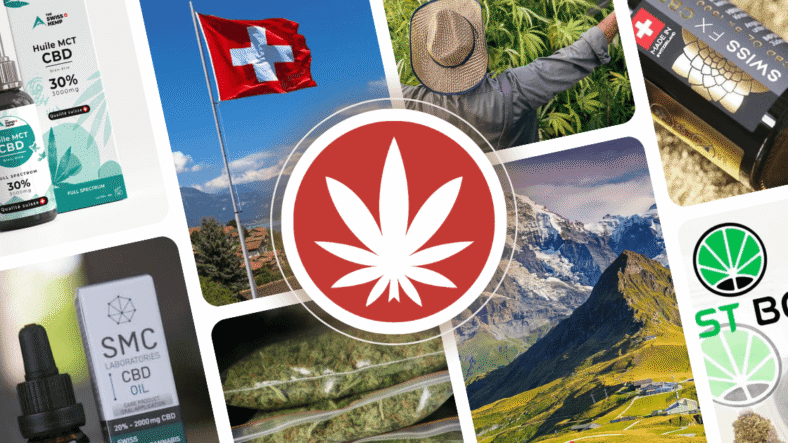 découvrez notre guide complet pour acheter du cbd en suisse en toute légalité. conseils, meilleures boutiques et astuces pour choisir des produits de qualité.