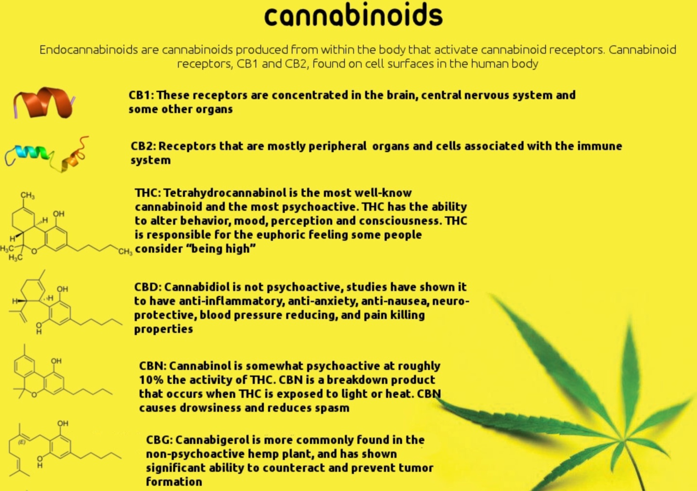 découvrez les bienfaits du cbd à lyon : soulagement naturel, réduction du stress et amélioration du bien-être au cœur de la ville.